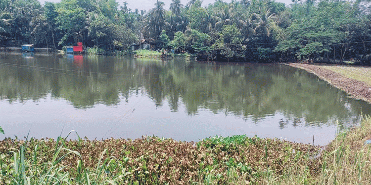 লক্ষ্মীপুরে ইজারাকৃত সরকারি দিঘি থেকে ১০ লা'খ টাকার মাছ লু'টের অভিযোগ