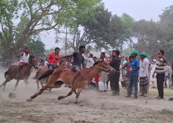 টাঙ্গাইলে ঐতিহ্যবাহী ঘোড়দৌড় প্রতিযোগিতায় মানুষের ঢল