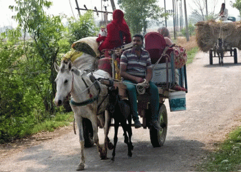 সীমান্তে উত্তেজনা: ভারত-পাকিস্তান সংঘাতের আশঙ্কায় ঘরছাড়া বহু পরিবার