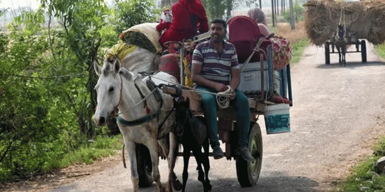 সীমান্তে উত্তেজনা: ভারত-পাকিস্তান সংঘাতের আশঙ্কায় ঘরছাড়া বহু পরিবার