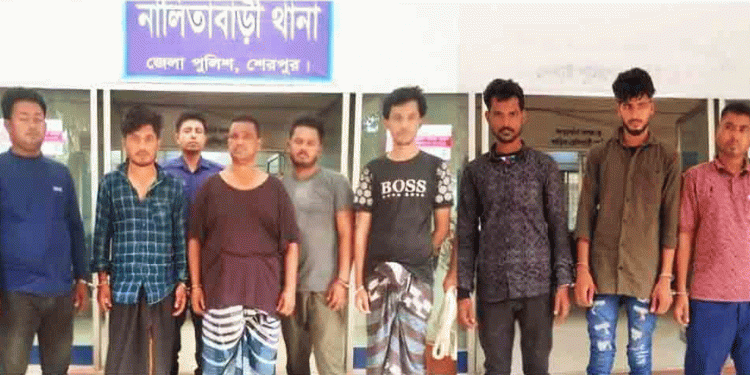 শেরপুর সীমান্তে ৩ দিনে আট বাংলাদেশি আ'টক
