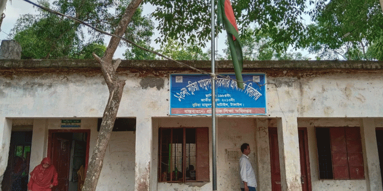ঘাটাইলে ঝুঁঁকিপূর্ণ ভবনে চলছে শিক্ষার্থীদের ক্লাস!