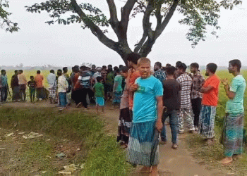 ছেলের চাকরির টাকার দায়ে বাবার আত্মহ'ত্যা ঠাকুরগাঁওয়ে