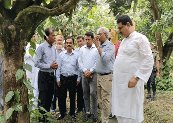 চীনে ১ লাখ ২০ হাজার টন আম রপ্তানির লক্ষ্যে প্রস্তুত চাঁপাইনবাবগঞ্জ
