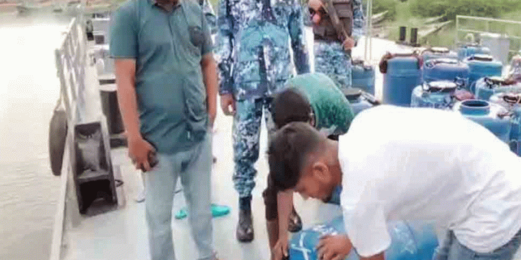 মেঘনায় ৩ কোটি টাকার গলদা চিংড়ির রেণু জব্দ