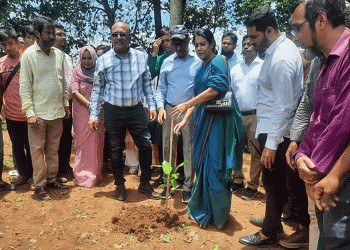 টাঙ্গাইলের মধুপুরে শালবন পুনরুদ্ধারে বন বিভাগের উদ্যোগ