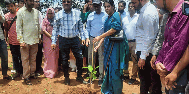 টাঙ্গাইলের মধুপুরে শালবন পুনরুদ্ধারে বন বিভাগের উদ্যোগ