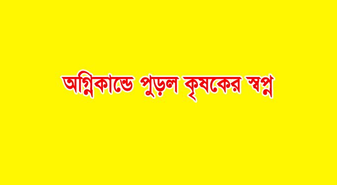 আগুনে পুড়ল দরিদ্র কৃষকের শেষ সম্বল