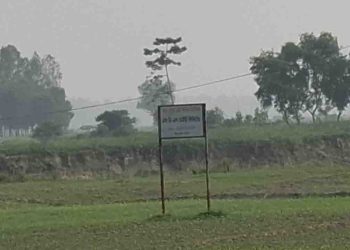 ভূমি মন্ত্রণালয়ের নির্দেশনা নিয়ে টাঙ্গাইলে ব্যাপক সমালোচনার ঝড়