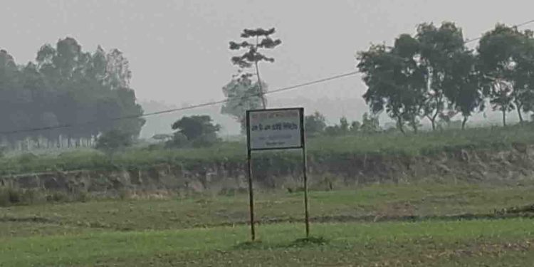 ভূমি মন্ত্রণালয়ের নির্দেশনা নিয়ে টাঙ্গাইলে ব্যাপক সমালোচনার ঝড়