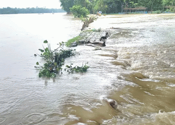 সিলেটসহ কয়েক জেলায় বন্যার ঝুঁকি কিছু নদীর পানি বিপদসীমার ওপর