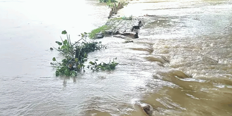 সিলেটসহ কয়েক জেলায় বন্যার ঝুঁকি কিছু নদীর পানি বিপদসীমার ওপর