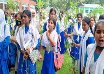 “বিএনপির উদ্যোগে টাঙ্গাইলে শিক্ষা প্রতিষ্ঠানে বৃক্ষরোপণ”
