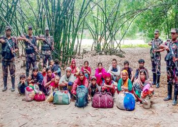 মাসুদপুর সীমান্ত দিয়ে ১০ শিশুসহ ২০ জনকে পুশ-ইন করল বিএসএফ