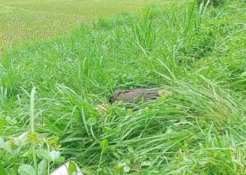 ঈদ উৎসবে গান গেয়ে কয়েদিদের মাতালেন নোবেল
