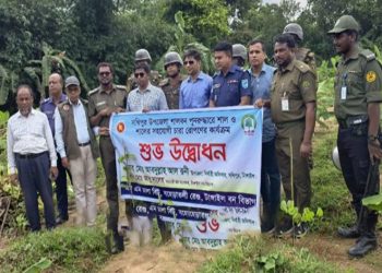 সখীপুরে সংরক্ষিত শালবনের ১৩ একর জমি উদ্ধার স্থানীয়দের বিরোধিতা