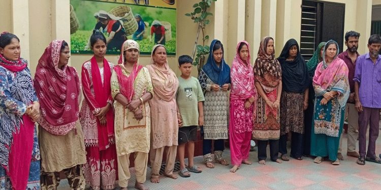 মৌলভীবাজার সীমান্ত দিয়ে বিএসএফের পুশ-ইন নারী-পুরুষসহ আ'টক ১৯