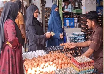 টাঙ্গাইলে ডিমের দাম পড়ে ক্ষতির মুখে খামারিরা