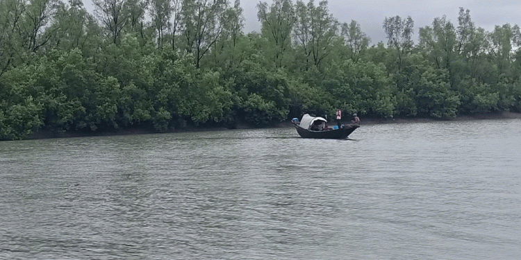 সুন্দরবনে তিন মাসের নিষেধাজ্ঞা শুরু বিপাকে বননির্ভর মানুষ