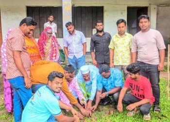 ঘাটাইলে বৃক্ষরোপণ কর্মসূচিতে পরিবেশ রক্ষায় সামাজিক উদ্যোগ