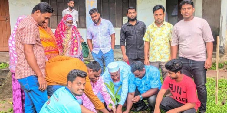 ঘাটাইলে বৃক্ষরোপণ কর্মসূচিতে পরিবেশ রক্ষায় সামাজিক উদ্যোগ