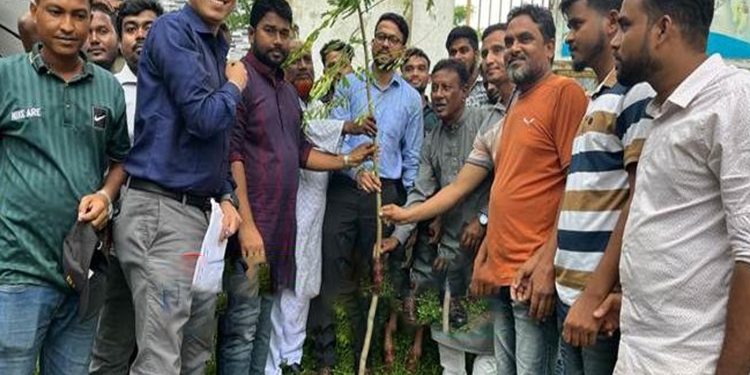 নাগরপুরে ছাত্রদল ও কৃষকদলের বৃক্ষরোপণ কর্মসূচি
