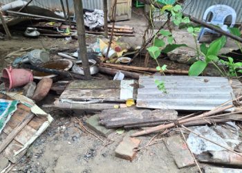 ভূঞাপুরে থামেনি যুবলীগ নেতা বাদশার তা"ন্ড"ব