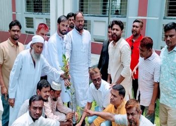 সুলতান টুকুর নেতৃত্বে টাঙ্গাইলে বিএনপির বৃক্ষরোপণ কর্মসূচি