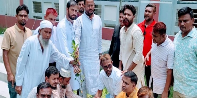 সুলতান টুকুর নেতৃত্বে টাঙ্গাইলে বিএনপির বৃক্ষরোপণ কর্মসূচি