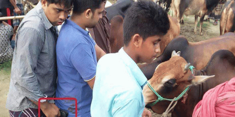 কোরবানির হাটে পকেটমারদের তৎপরতা বেড়েছে সতর্ক থাকুন