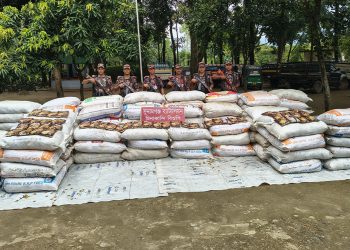 বিশ্বম্ভরপুর সীমান্তে পাচারের সময় ট্রাকভর্তি ভারতীয় ফুচকা জব্দ