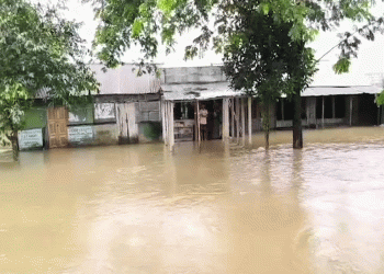 টানা বৃষ্টিতে শেরপুর ব্রাহ্মণবাড়িয়া ও পার্বত্য জেলায় জলাবদ্ধতা