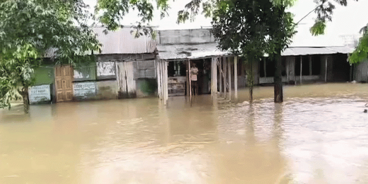 টানা বৃষ্টিতে শেরপুর ব্রাহ্মণবাড়িয়া ও পার্বত্য জেলায় জলাবদ্ধতা
