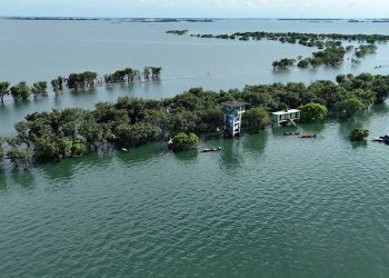 টাঙ্গুয়ার হাওরে পর্যটকবাহী হাউজবোট নিষেধাজ্ঞা জেলা প্রশাসনের