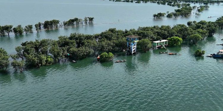 টাঙ্গুয়ার হাওরে পর্যটকবাহী হাউজবোট নিষেধাজ্ঞা জেলা প্রশাসনের
