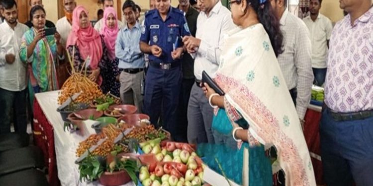 সখীপুরে কৃষি অধিদপ্তরের আয়োজনে জাতীয় ফল মেলা অনুষ্ঠিত