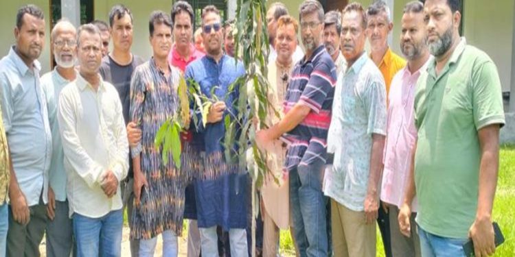 নাগরপুরে কৃষকদলের বৃক্ষরোপণ কর্মসূচি সম্পন্ন