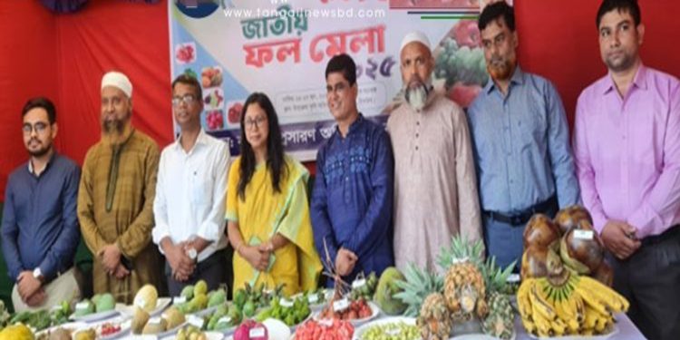 বাসাইলে তিন দিনব্যাপী জাতীয় ফল মেলা শুরু