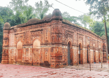 ঐতিহ্য ও স্থাপত্যের নিদর্শন বাঘা মসজিদ: সংরক্ষণের অভাবে হারাচ্ছে রূপ