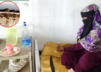 ভোলা সদর হাসপাতালে পোকামাকড়ের উৎপাত চরম অব্যবস্থা