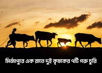 মির্জাপুরে এক রাতে দুই কৃষকের ৭টি গরু চু'রি