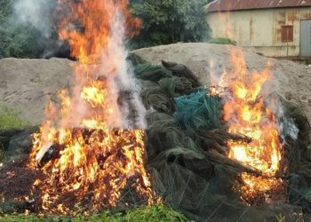অবৈধ চায়না জাল ধ্বংসে কালিহাতীতে অভিযান