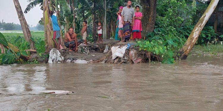 উজানের ঢলে তিস্তায় পানি বৃদ্ধি লালমনিরহাটে নিম্নাঞ্চল প্লাবিত