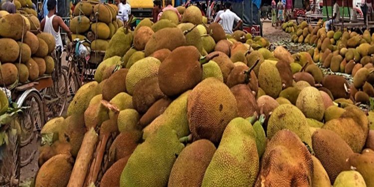 টাঙ্গাইলের সখীপুরে কাঁঠালের জমজমাট বাজার