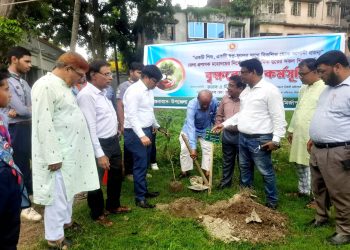 মির্জাপুরে একযোগে ৬৫টি মাধ্যমিক বিদ্যালয়ে গাছের চারা রোপন