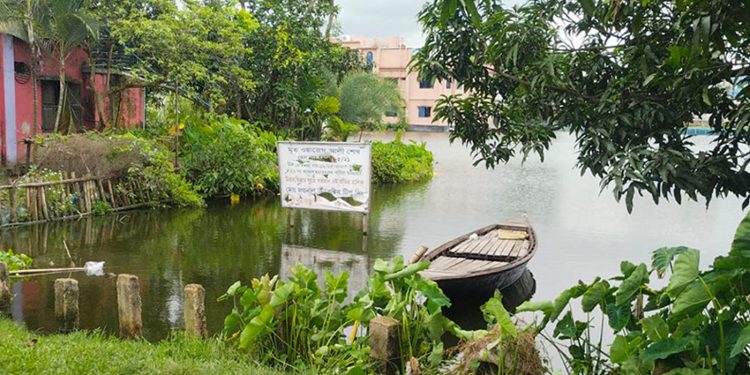 পাবনায় পুকুরে অজ্ঞাত যুবকের ম'রদেহ উদ্ধার
