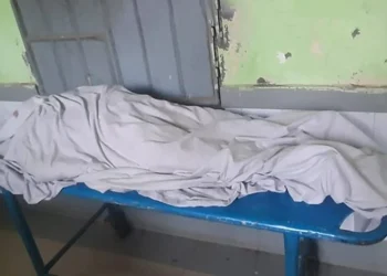 কালিহাতীতে সড়ক দুর্ঘটনায় বৃদ্ধা নি'হত প্রাইভেটকার চালক আ'টক