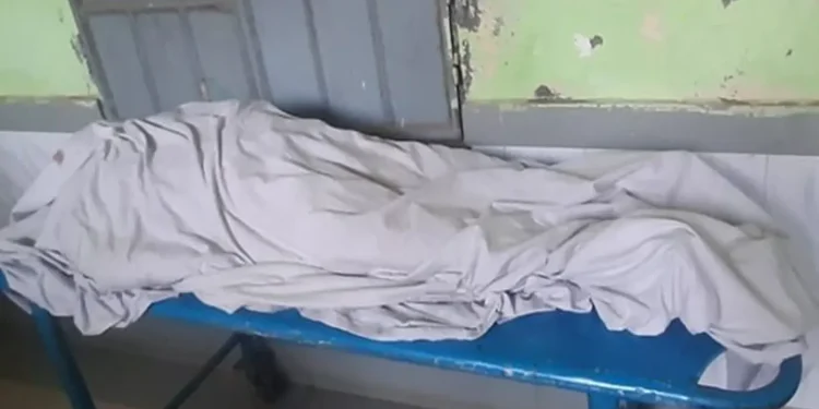 কালিহাতীতে সড়ক দুর্ঘটনায় বৃদ্ধা নি'হত প্রাইভেটকার চালক আ'টক