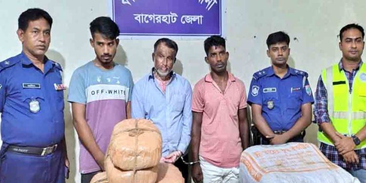বাগেরহাট ফকিরহাটে বিশেষ অভিযানে ২০ কেজি গাঁজাসহ ৩ মা'দক ব্যবসায়ী গ্রে'প্তা'র