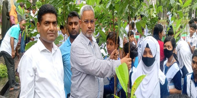 পরিবেশের ভারসাম্য রক্ষায় টাঙ্গাইলে জাহ্নবী উচ্চ বিদ্যালয় বিনামূল্যে গাছের চারা বিতরণ